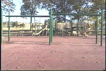 Slides and
swings